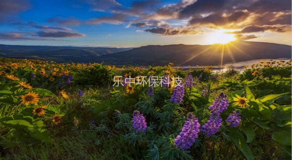 污水處理廠活性污泥法日常管理中，需要監(jiān)測(cè)與注意的參數(shù)-樂中環(huán)保