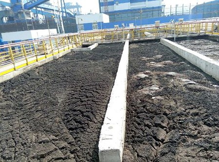 二沉池污泥上浮 二沉池污泥上浮