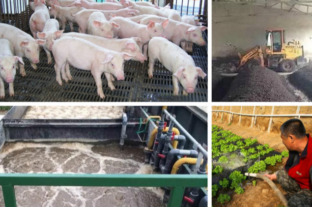 養(yǎng)殖污水處理一體設(shè)備多少錢？養(yǎng)殖污水處理方法