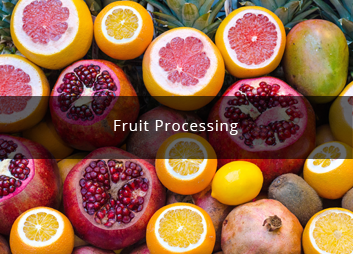 食品廠污水處理新思路，印度食品污水處理經驗淺析01