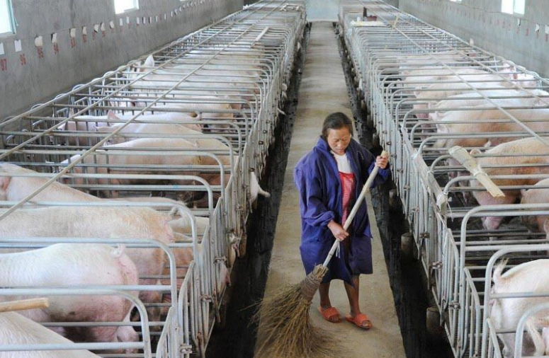 畜牧污水處理設備哪家好，養殖污水處理設備哪家好