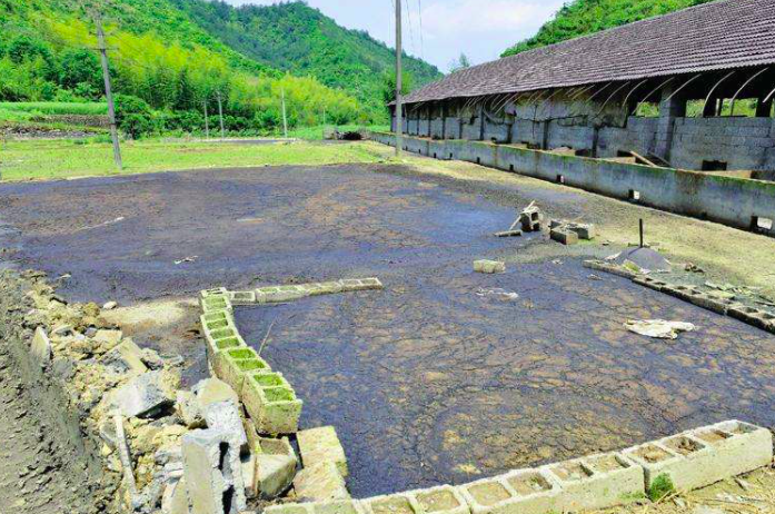 養豬污水變清水最快方法，養豬場污水處理方法有哪些-樂中環保