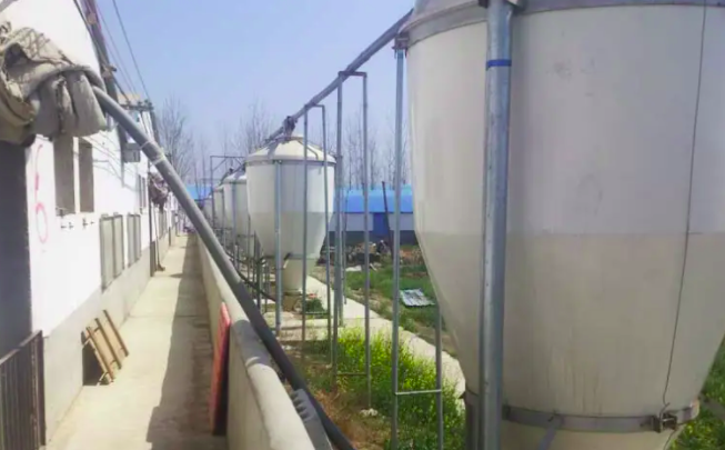 養豬污水處理設備一套多少錢？掌握這三點幫助你節約成本