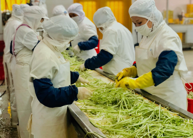 三種食品污水處理設(shè)備工藝流程，看看哪種適合您？