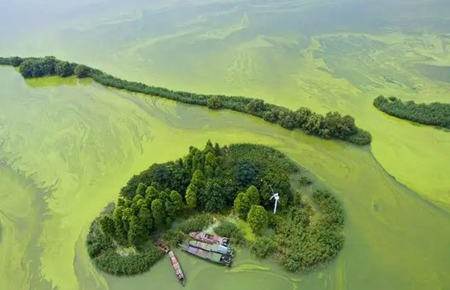 湖泊富營養(yǎng)化是什么原因（附相關處理方案）